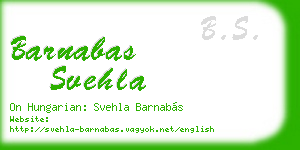 barnabas svehla business card